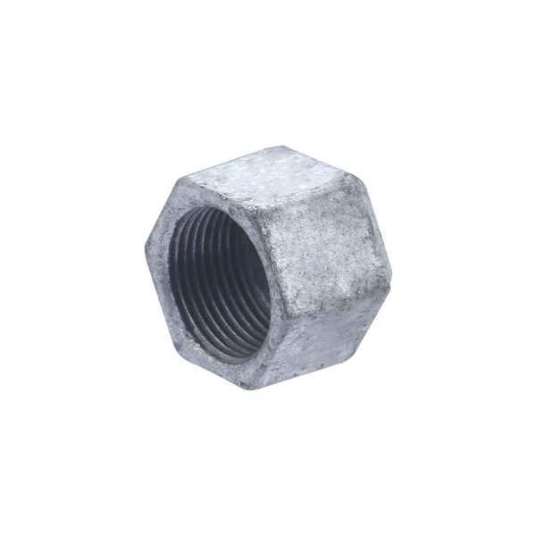 Tapón galvanizado hembra - Image 10