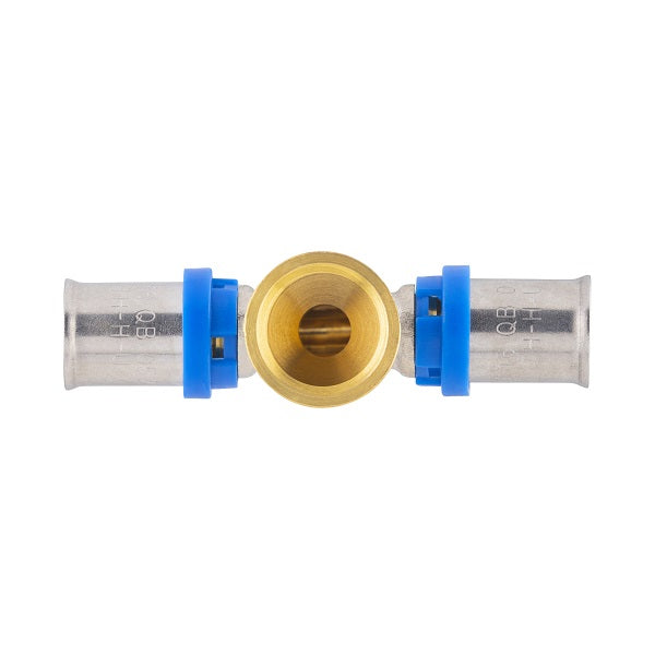 Te hembra multicapa - Image 3
