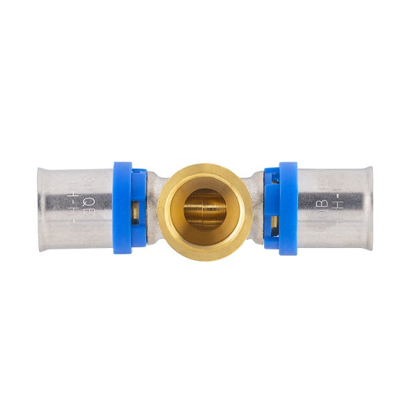 Te hembra multicapa - Image 7
