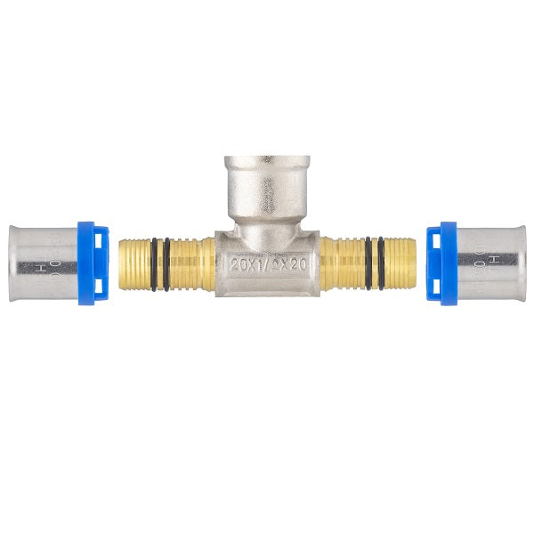 Te hembra multicapa - Image 8